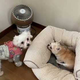お引越しver.3！！の画像