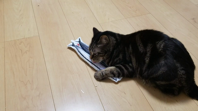 ニャンフェスの記事動画