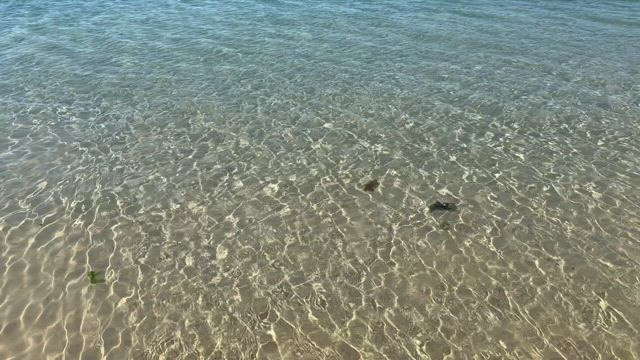 ヒャッこい海とオリンピックとの記事動画