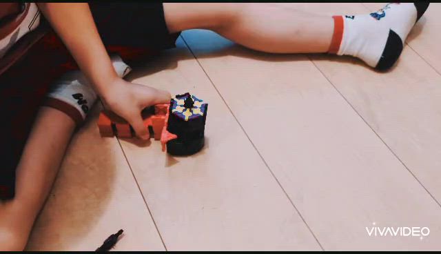 かっちゃん6歳になりましたの記事動画