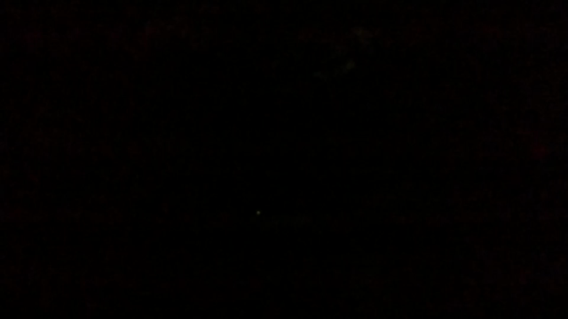 メダカの記事動画