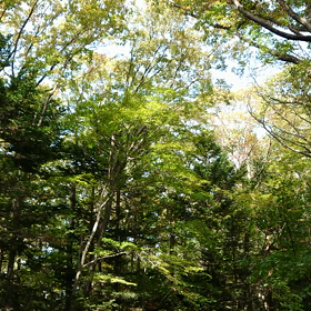 山～！の画像