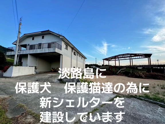 老犬キキの事の記事動画