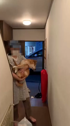 おんちゃんの記事動画
