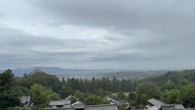 星奉の朝は奈良散策へ｜春日大社から若草山、二月堂まで歩いた旅の記録の記事動画
