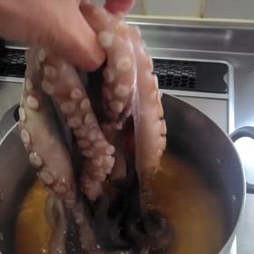 動画一覧｜駿パパⅡタコ釣り日誌