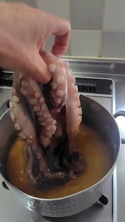 蛸ロッド改造で、、、釣った蛸がこれ！の記事動画