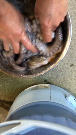 陸っパリ、初心者でもタコが簡単に釣る！その1　前編の記事動画