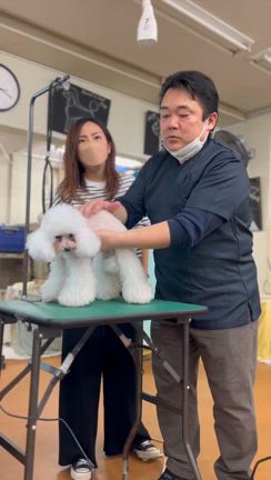 渋谷 クリエイティブの記事動画