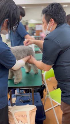 渋谷校 整体授業の記事動画