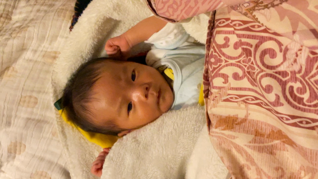 210401、210402  写真、動画の記事動画