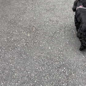 しんぱいの画像