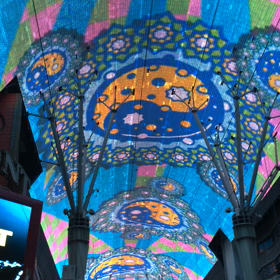 Las Vegas14：ショーの画像