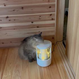 加湿器の画像