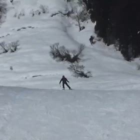 センスがないの画像