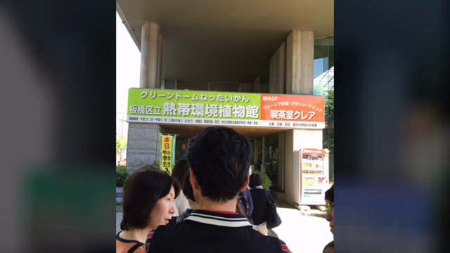 2016 板橋熱帯植物園の記事動画