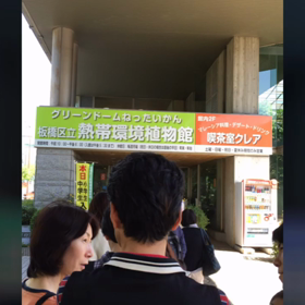 2016 板橋熱帯植物園の画像