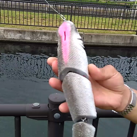 キャット３連パールホワイト。スイム動画です。の画像