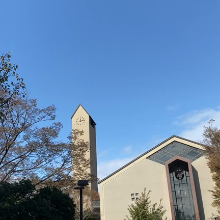 0歳児の発達について大学で講義しますの記事動画