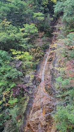 美濃、郡上八幡へ女ふたり旅の記事動画