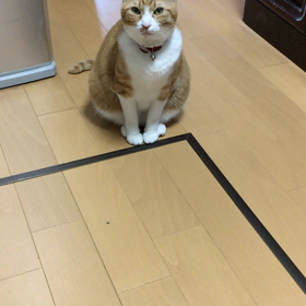 おやつの要求の画像