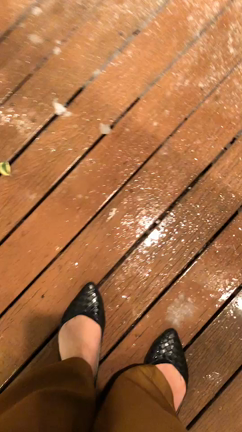 雪の日☃️の記事動画