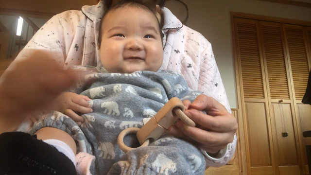 木のおもちゃの記事動画