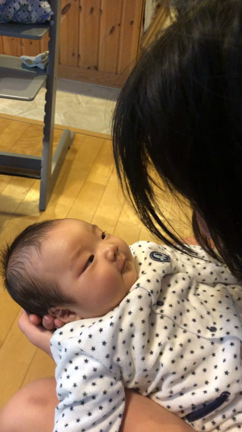 熱の記事動画