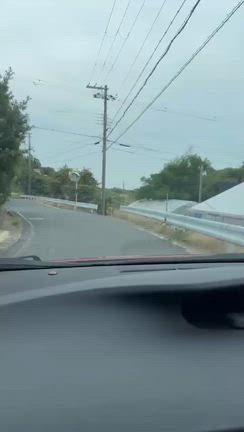 淡路市で迷い犬の記事動画