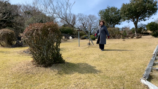 旅の終わりにの記事動画