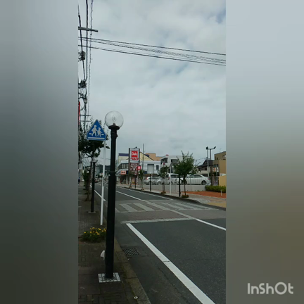 本日は日曜営業していますの記事動画
