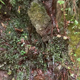 問題解決の共通点の画像