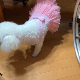 お盆休みの画像