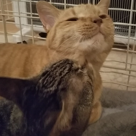 仲良し♥の画像