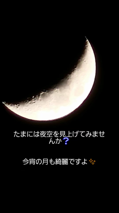 言葉選びの記事動画
