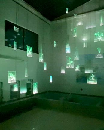 国際芸術祭あいち2025@瀬戸市のまちなかの記事動画