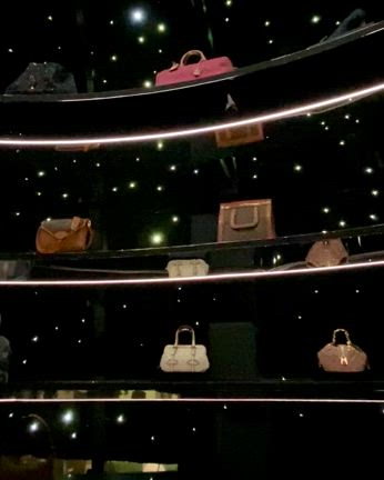 LOUIS VUITTON『ビジョナリー・ジャーニー』展⑤の記事動画