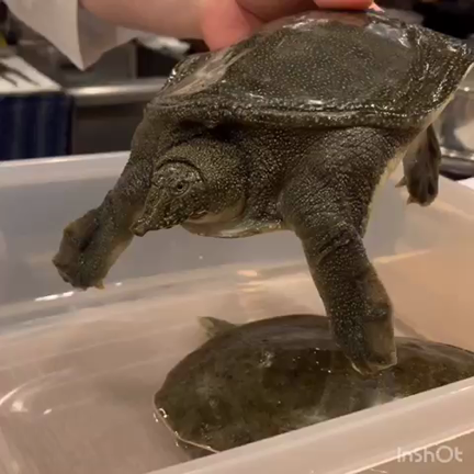 【12杯目】気まずいの記事動画