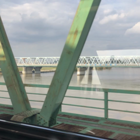 江戸川／動画の画像