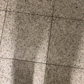 階段／動画の画像