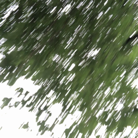 きのうの髪型／動画の画像