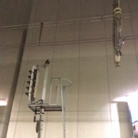 糞、あらわれて、消えた／動画の画像