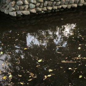 きょうの技／動画の画像