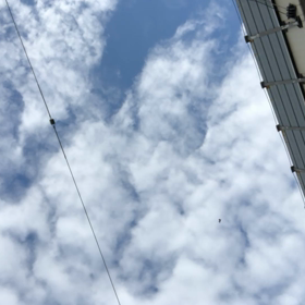 きのうの髪型／動画の画像