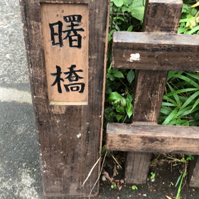 鯉トモ／動画の画像