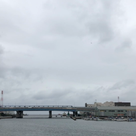きのうの飛行機／動画の画像