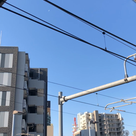 今朝の飛行機の画像