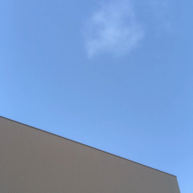 鳥、小さくて見えへんな／動画の画像