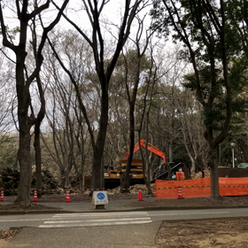 きのうの公園の画像