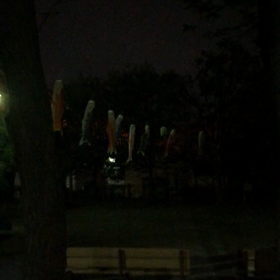 きのう の夜／鯉のぼり／動画の画像